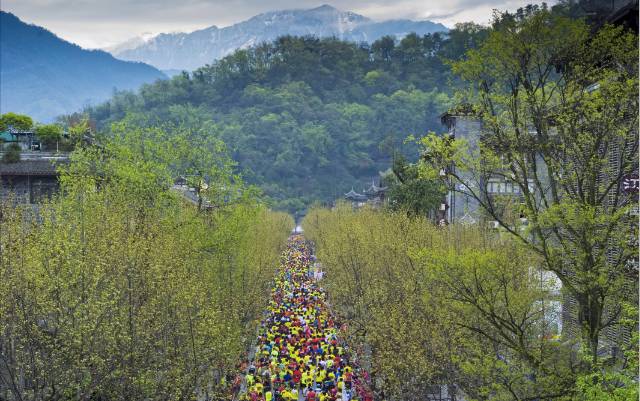 2019年都江堰视频纪录片,2019天府之国都江堰