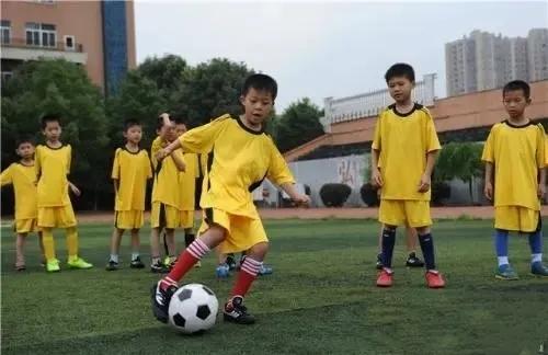 郴州省示范高中有哪几所,郴州学校上榜