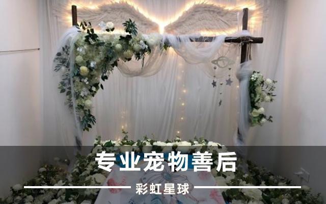 彩虹星球宠物死亡怎么处理,彩虹星球关于宠物火化的知识科普