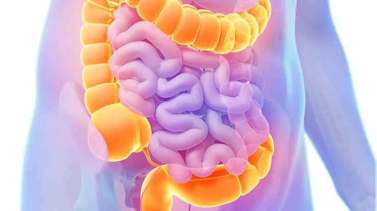 结肠癌的发生和治疗，都不要忽略肠道菌群