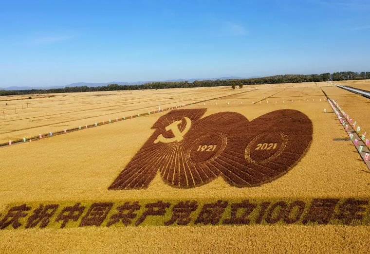 20个技巧，助您手机拍大片！（影展点评第455期）