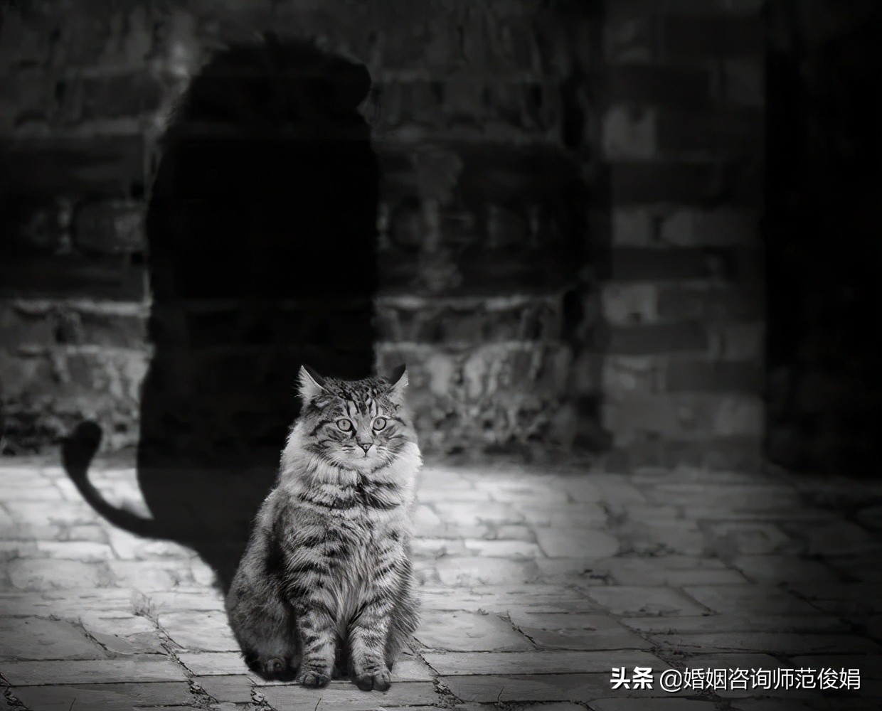 当你觉得婚姻没有安全感怎么办,婚姻中没有安全感总觉得对方出轨