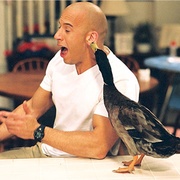 推荐一部喜剧电视剧,推荐几部好看的喜剧电影