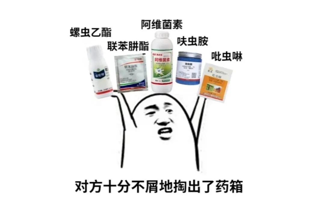 虫虫大作战对战所有昆虫攻略,虫虫大作战灭虫视频