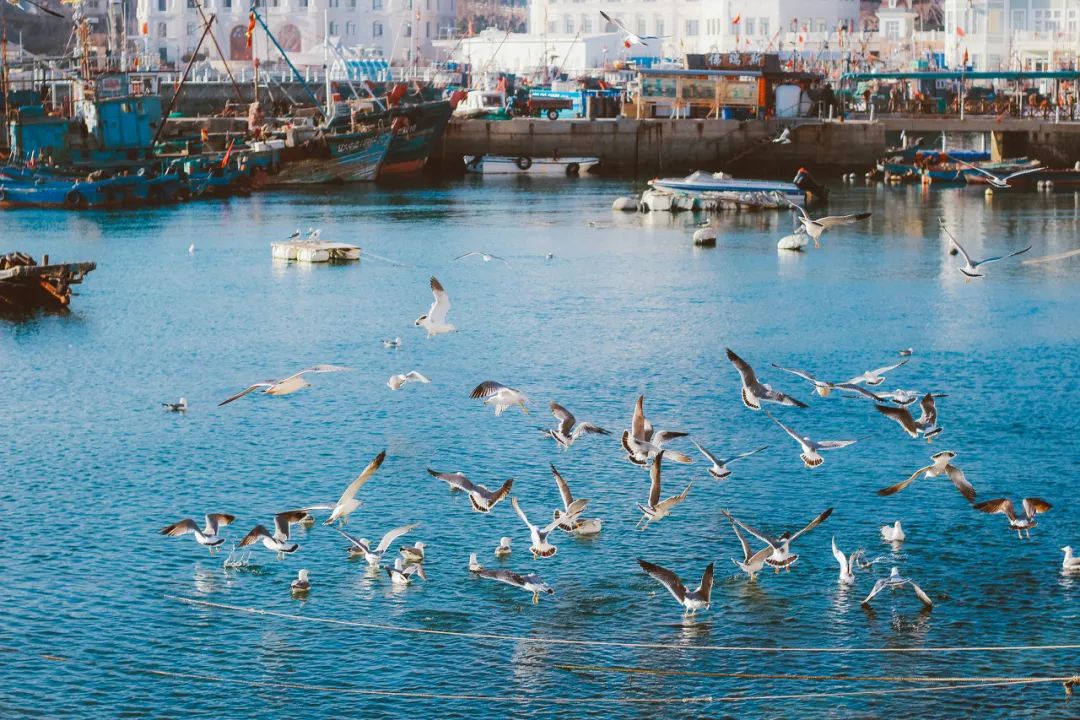 美过三亚!比厦门浪漫!中国这座海滨老城,去一次相当于环游世界