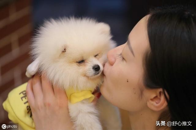 两个月的博美便便怎么那么臭,博美的便便特别臭