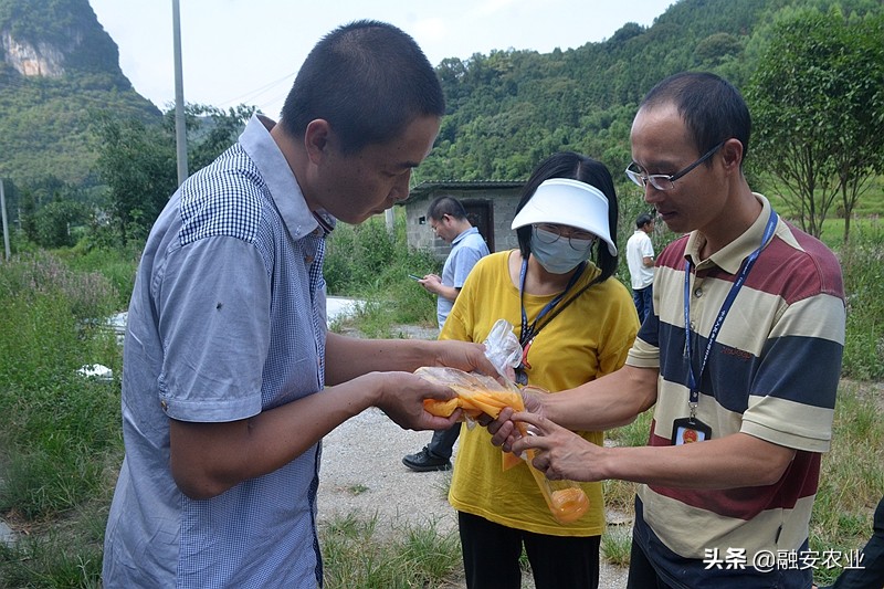 融安县开展2021年动物产品质量安全监督抽检工作