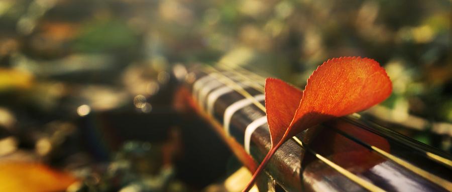 中考命题2020作文,历年中考作文命题大全