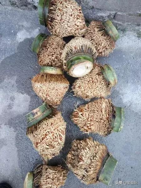 山上挖了块竹根，他砍了砍，竟能盘出通透的枣红色！