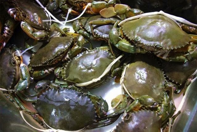 领略海口美丽风光，尝尽海口的各种美食