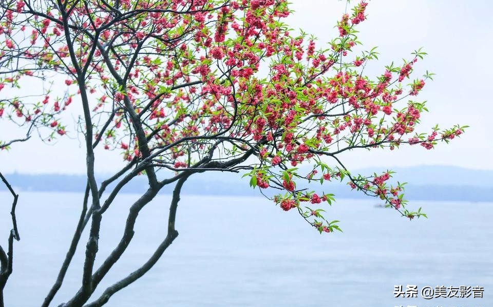 语文拓展100个容易被误用的成语,100个最常被误用的成语行测必备