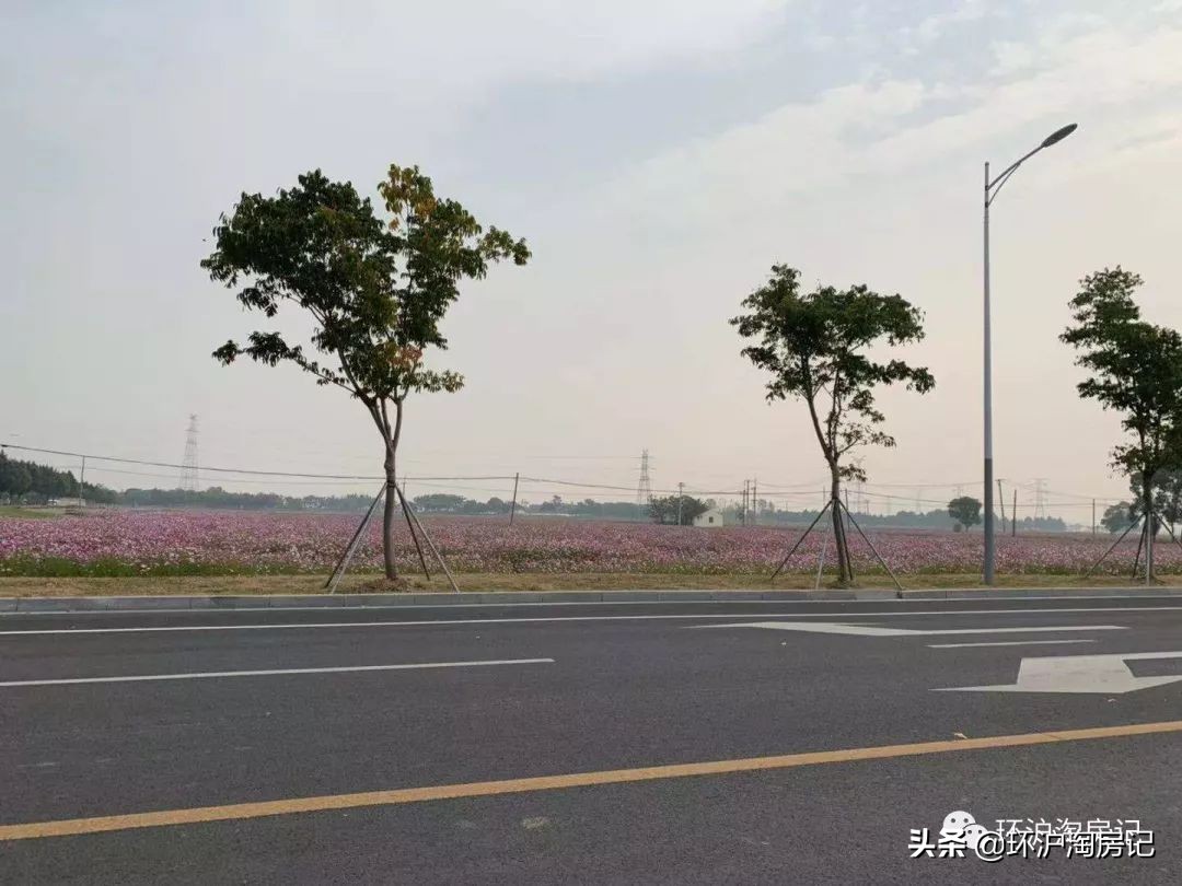 上海6条地铁3条城际,二三线高铁直达上海的城市