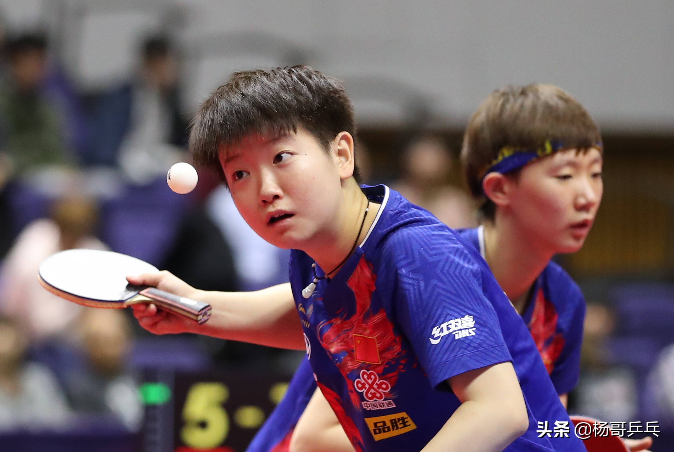 肖战王曼昱练球,肖战指导陈梦与平野美宇比赛