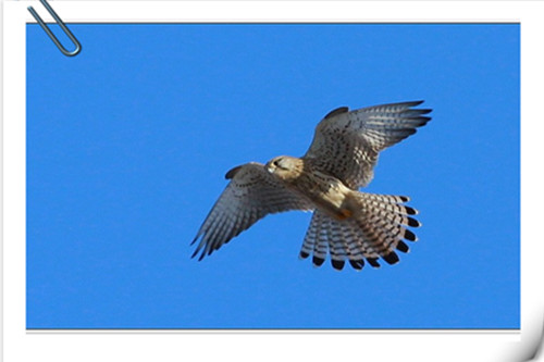 年轻人创业摆摊好还是开店好,第一次创业摆摊还是开店