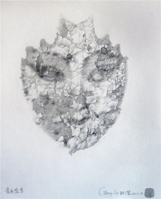 2024威尼斯双年展,威尼斯双年展平行展