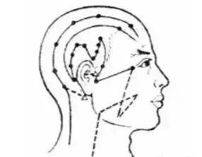 中老年穴位拍打养生操教学视频,十二经络二十八个穴位拍打操