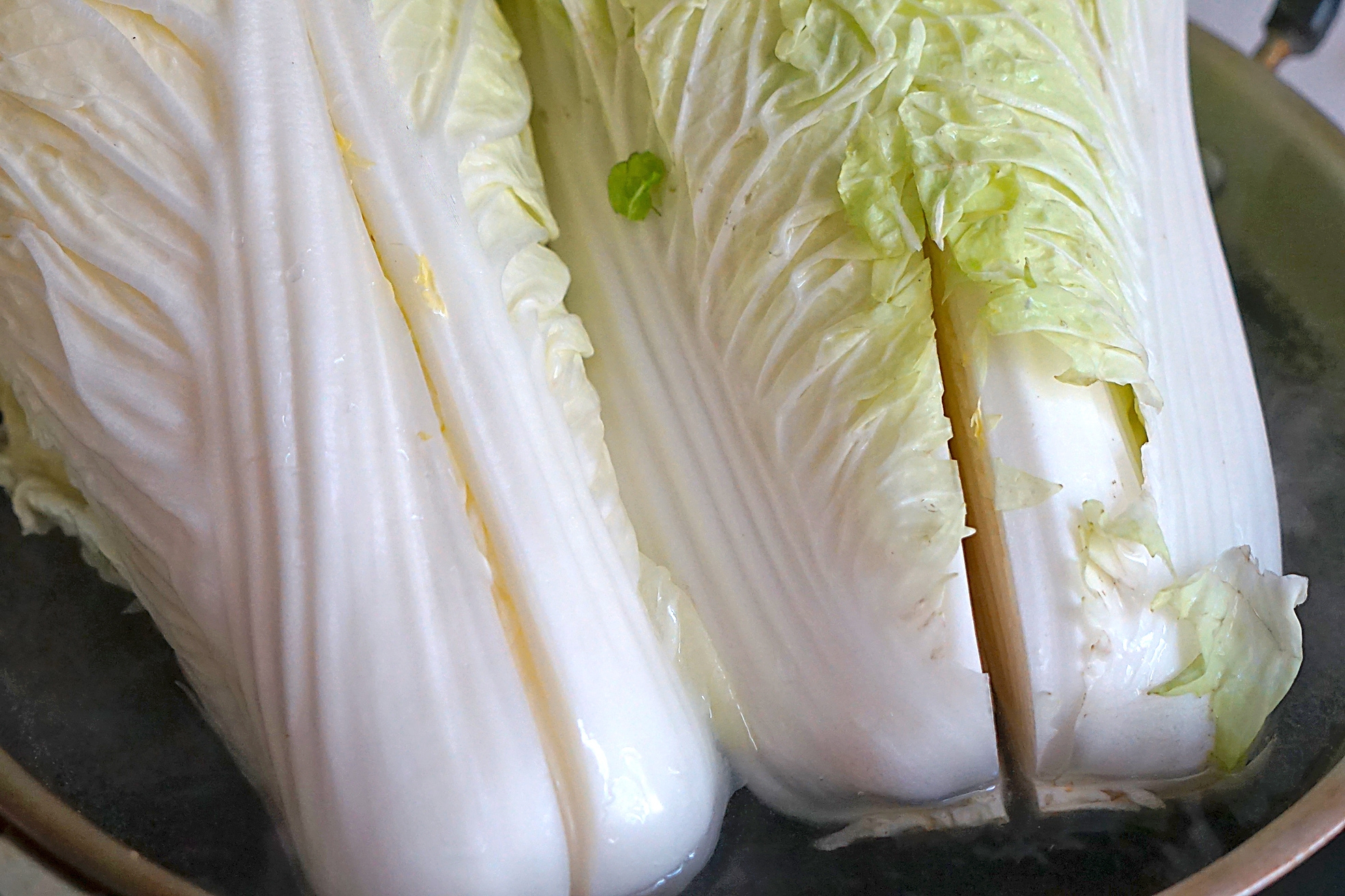 酸菜在家自己做2天就能吃,酸菜不要晒的腌制方法