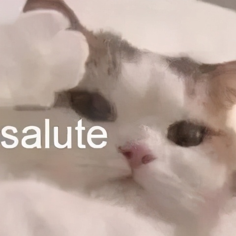 高温天气电脑怎么降温,夏天电脑怎么降温最好