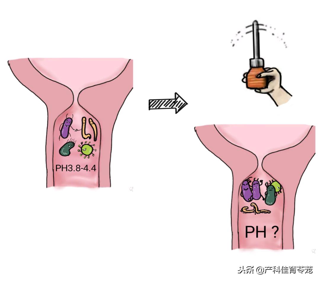 酸碱性高低决定男女准确吗,酸碱体质说法是否是骗局