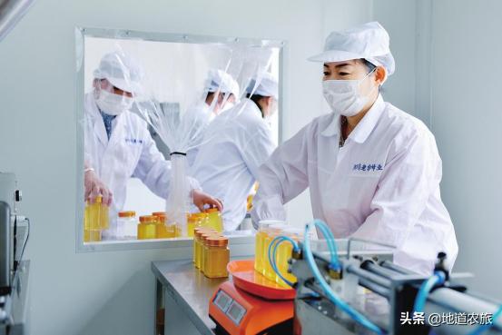 白山椴树蜜特产,白山市椴树蜜