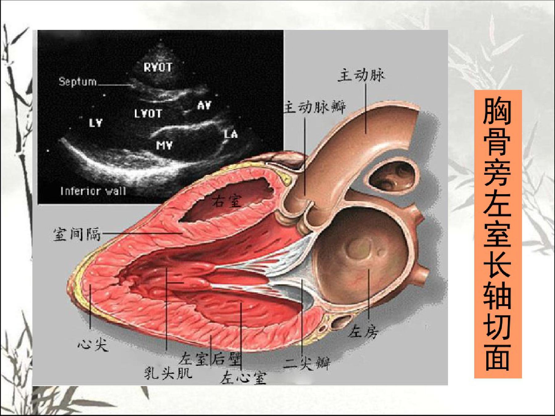 检查心脏心电图,检查心脏彩超是最好的吗
