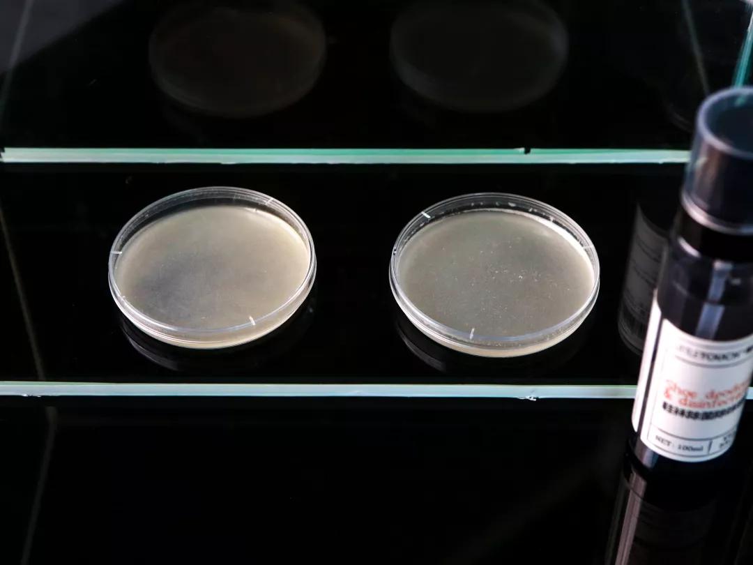 去除脚臭最有效的喷雾,去脚臭最有效方法喷雾