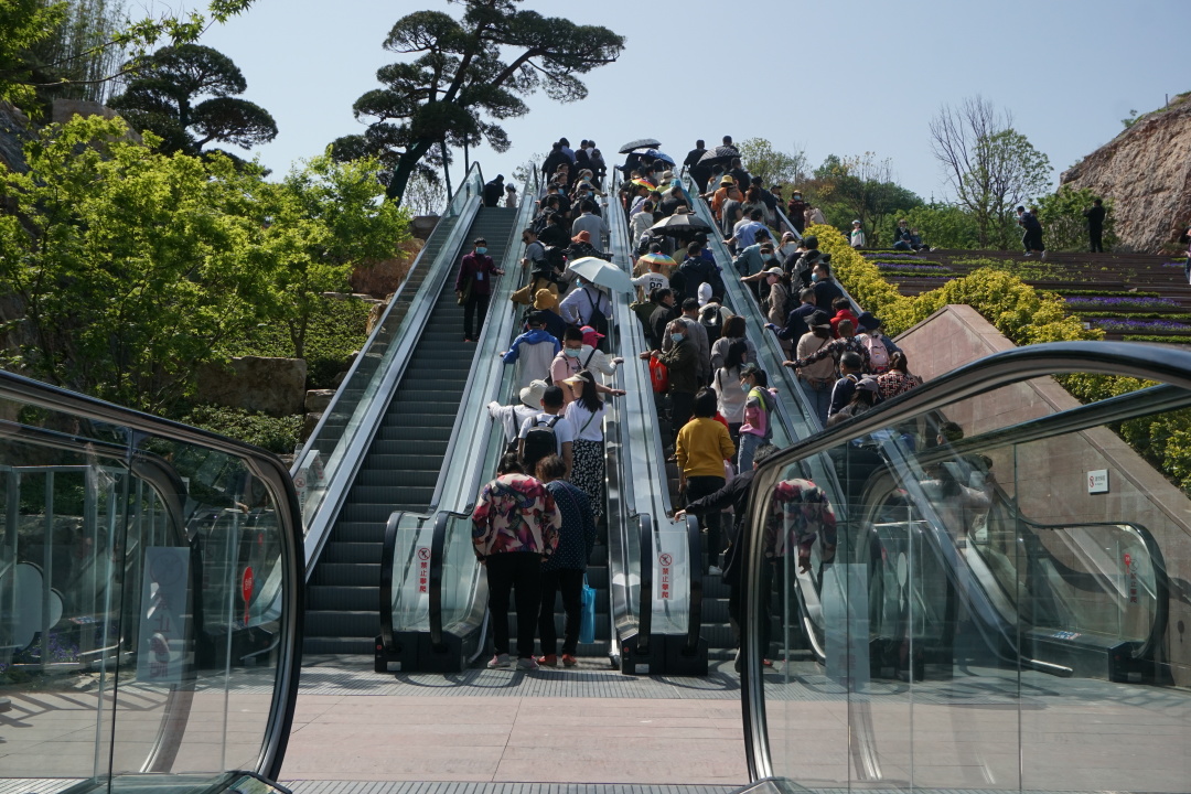 江苏南京园博园好玩吗,江苏园博园游玩攻略