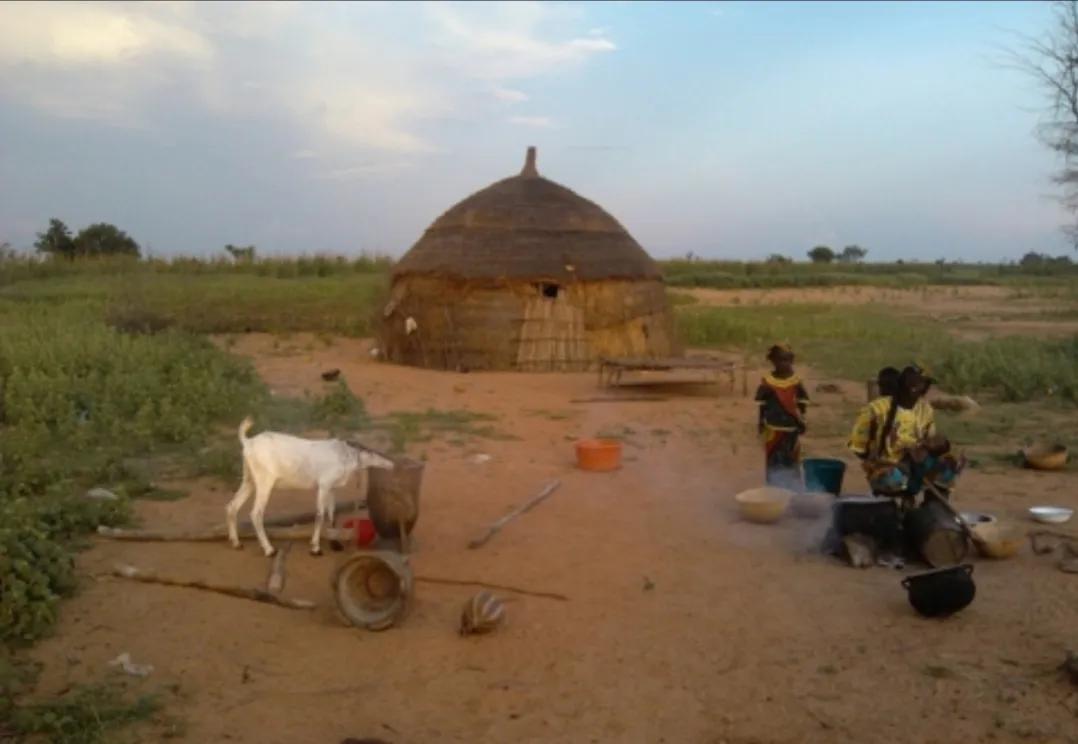 非洲最穷国家“尼日尔”,带你们看看他们的真实生活