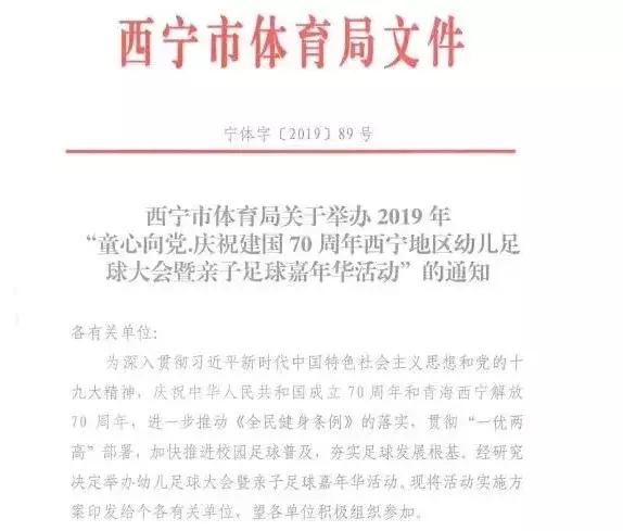 沙区市幼儿足球嘉年华,武汉市幼儿足球嘉年华