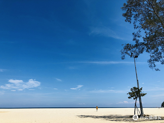 马来西亚乳胶值得买吗,马来西亚乳胶