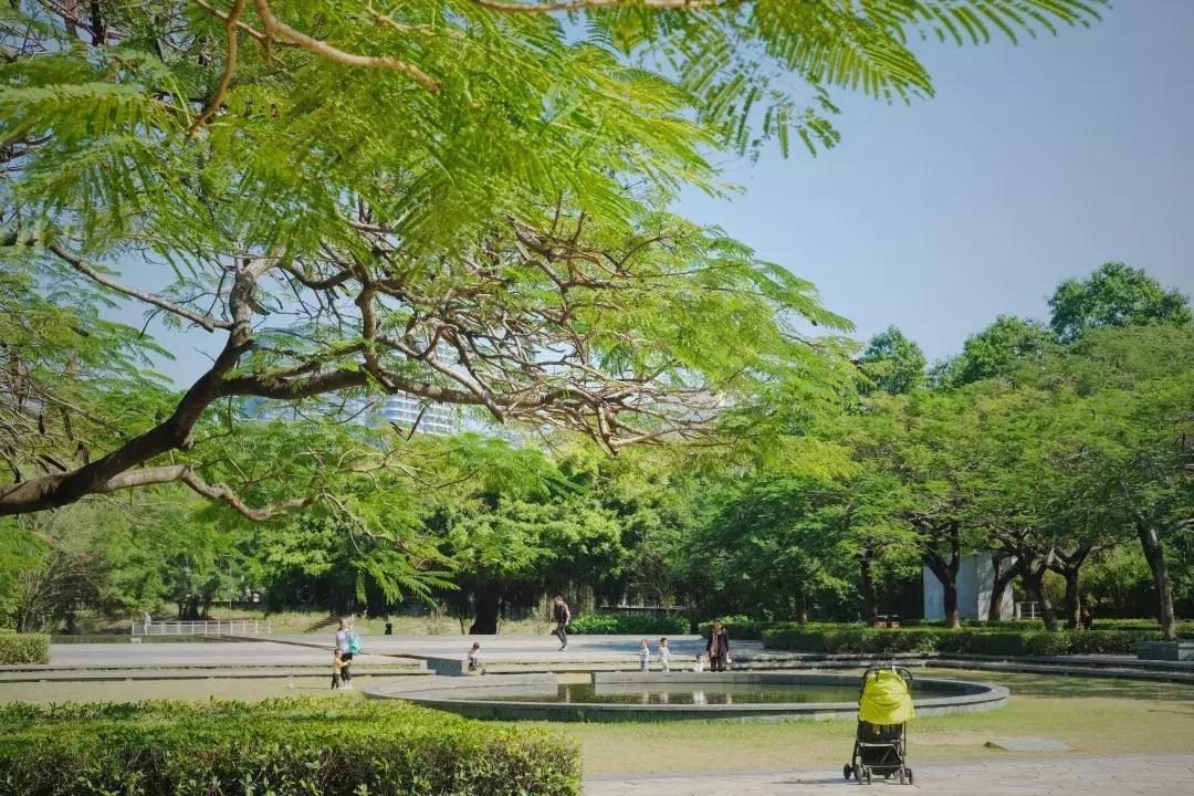 最近的华侨城,独一无二华侨城