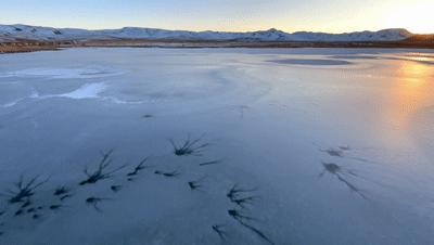 真羡慕那些不会用iPhone拍照的人