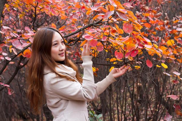 优秀作文且听风吟静待花开,优秀作文赏析青春