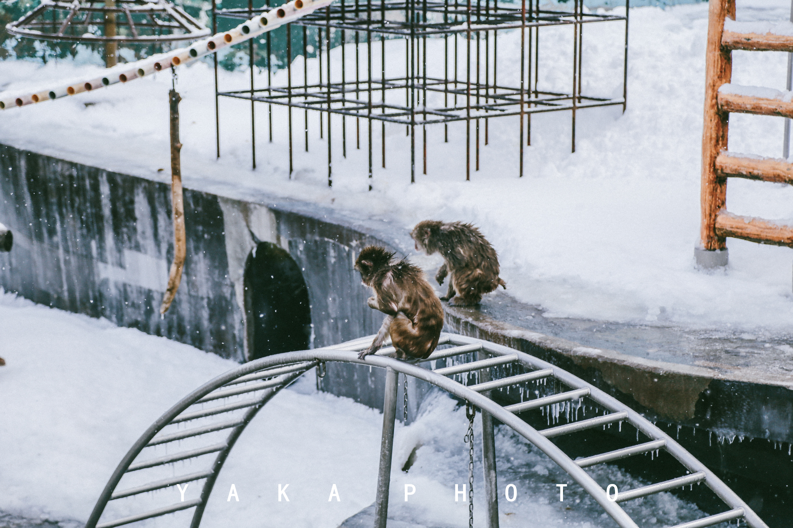 日本北海道函馆二日游自由行攻略,日本人最爱去哪里旅游