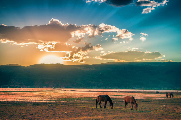 去丽江旅游攻略多少钱,去丽江玩最便宜要花多少钱
