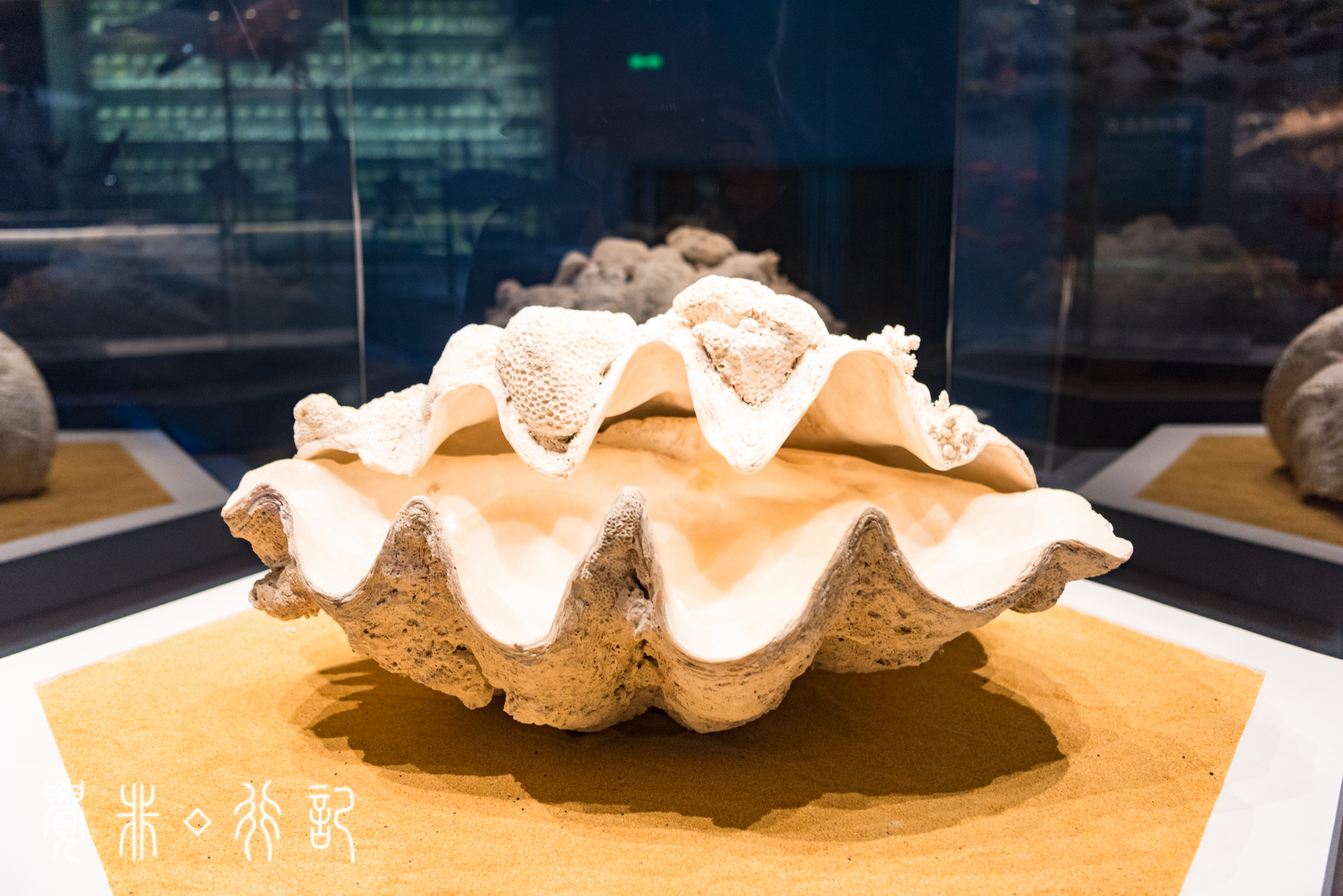 国家海洋博物馆又被称为海上故宫,天津国家海洋博物馆预约电话