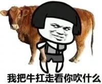 萌新应该养什么便宜宠物狗,萌新怎么入门宠物技能