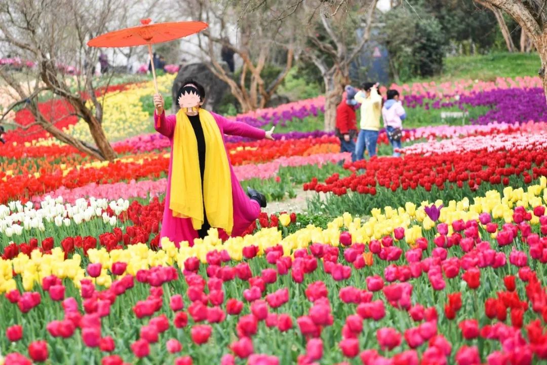 成都市秀丽东方,成都秀丽东方还在开放吗