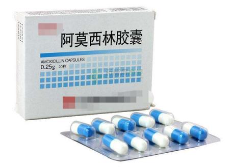 猫咪生病的各种药,猫咪生病物品消毒