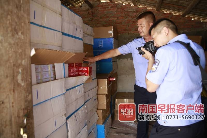 竹鼠窝里的香烟,上思竹鼠窝