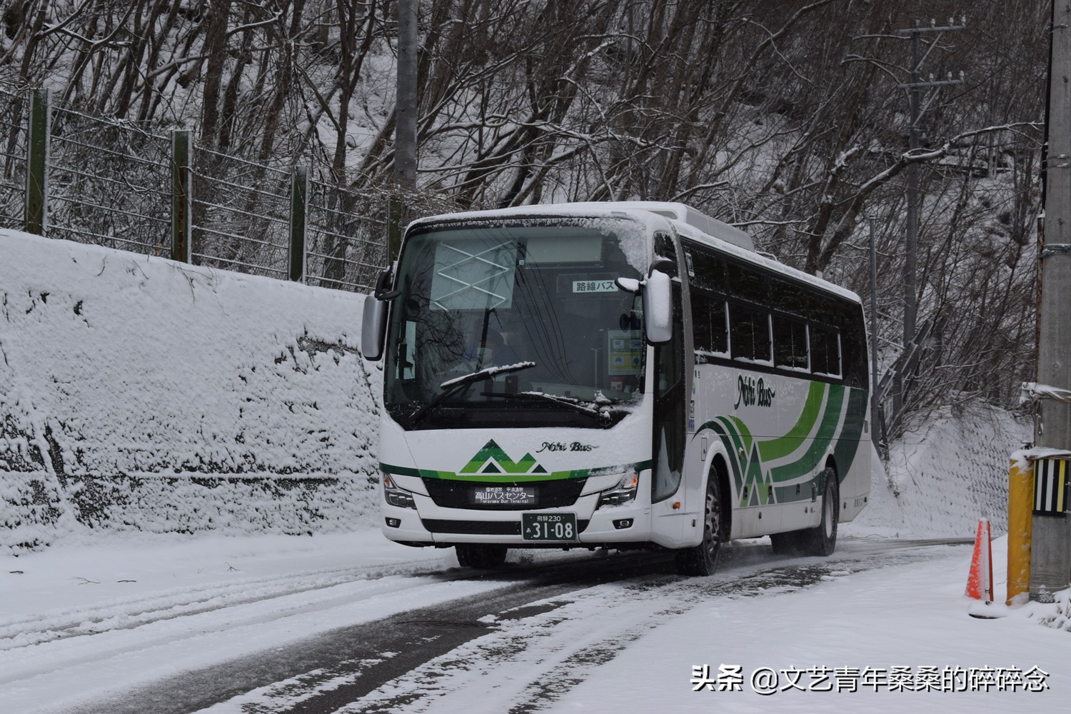 冬季日本的自驾游攻略,冬日游日本名古屋攻略