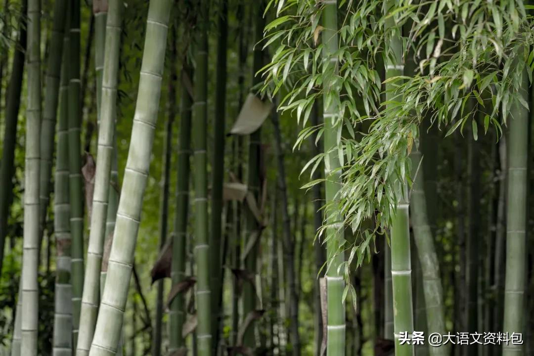 如果颜色也有七情六欲，哪种颜色最深情？最美中国色美得不可方物