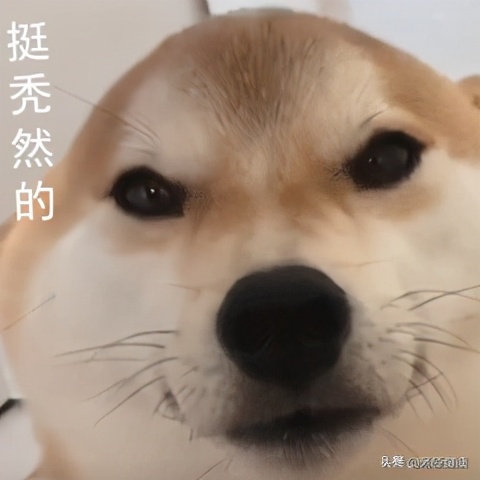 坚持健身半年居然秃了,20岁小伙子坚持健身半年竟然秃了