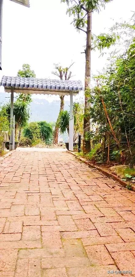 鐜╄浆骞胯タ妗傚钩姘戝,妗傚钩姘戝