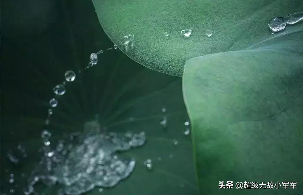 佛说做人请不要炫耀,佛说为什么不能炫耀