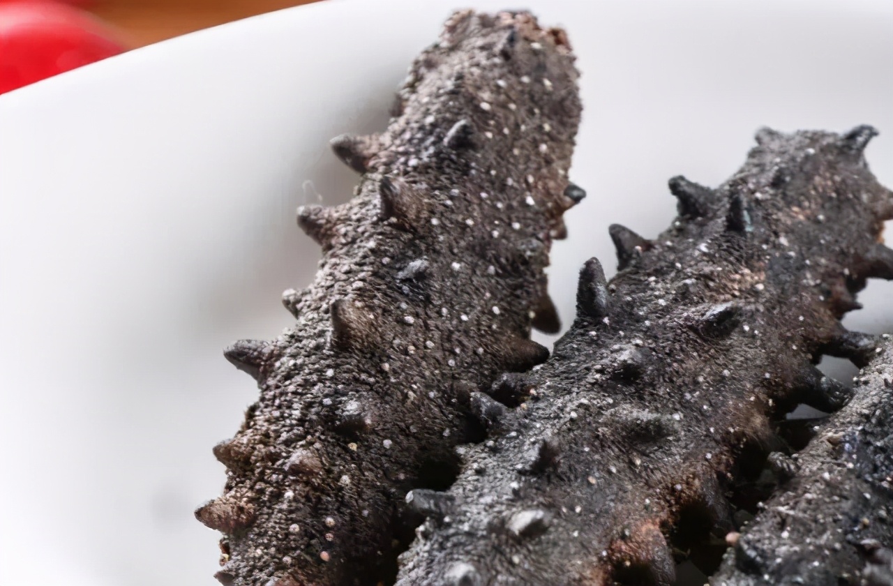 海参为什么说是正经海参,海参含盐量