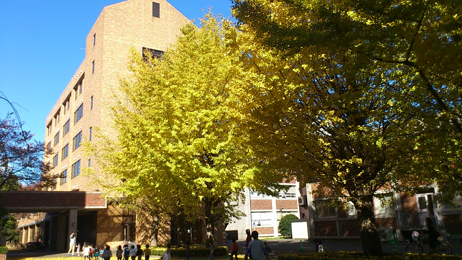 聊一聊在日本上大学是什么体验？