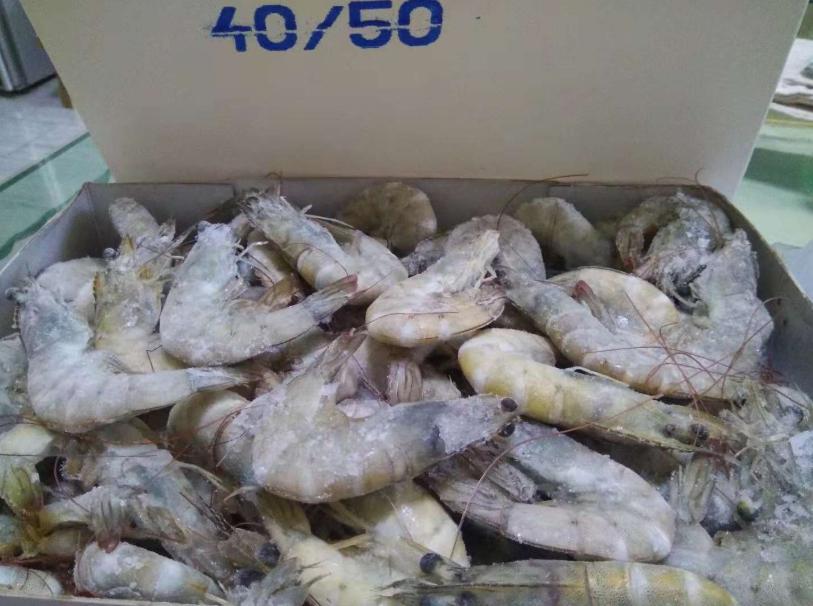 冻虾和煮熟的虾有什么区别,冰冻虾和冰鲜虾如何区别