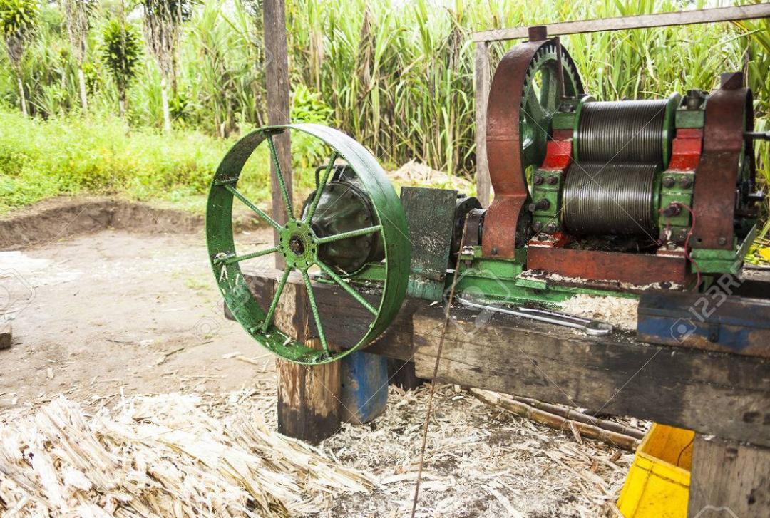 石头上有花纹的石头值多少,石头上有龙图案值钱