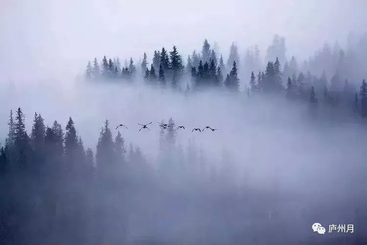 读《中年》的女人更着急